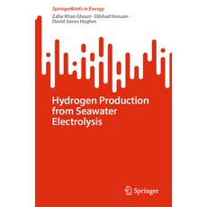 (英文圖書) Hydrogen Production from Seawater Electrolysis 平裝版, Springer, 英文