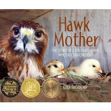 (英文圖書) Hawk Mother: The Story of a Red-Tailed Hawk Who Hatched Chickens 精裝版, Web of Life Children's Books, 英文