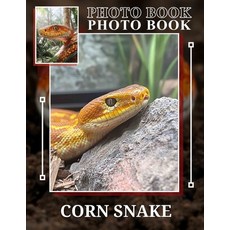 (英文圖書) Corn Snake Photo Book: Explore 40 Stunning Images Of The Fascinating Corn Snake... 平裝版, Independently Published, 英文