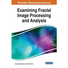 Examining Fractal Image Processing and Analysis 精裝版, Engineering Science Reference, 英語
