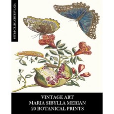 (英文圖書) Vintage Art: Maria Sibylla Merian: 20 Botanical Prints: Entomology Ephemera for Framing Home... 平裝版, Blurb, 英文