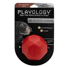 PLAYOLOGY 寵物狗用牛肉味多邊形球玩具 L號 15.9-27.2kg, 1個, 紅色的