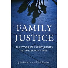 Family Justice: The Work of Family Judges in Uncertain Times 精裝版, Bloomsbury Publishing PLC, 英文
