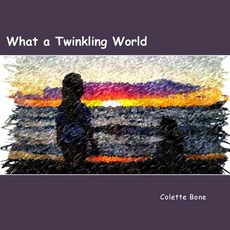 (英文圖書)What a Twinkling World 平裝版, Createspace Independent Pub..., 英文