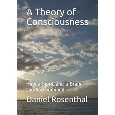 (英文圖書) A Theory of Consciousness: How a Spirit and a Brain can be Combined 平裝版, Independently Published, 英文
