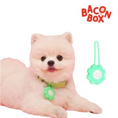 【你和我的狗】韓國正版 Bacon LED防水寵物燈 - 夜間安全可愛造型, 綠色,Free