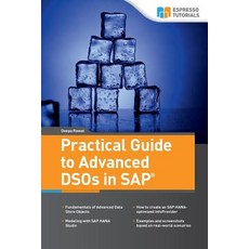 (英文圖書) Practical Guide to Advanced DSOs in SAP 平裝版, Createspace Independent Pub..., 英文