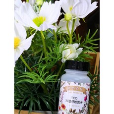 ERON ECO水磁舒敏因子 50g