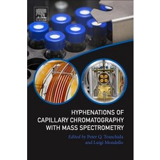 (英文圖書) Hyphenations of Capillary Chromatography with Mass Spectrometry 平裝版, Elsevier, 英文