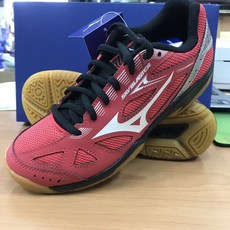 YVM羽球 Mizuno 美津濃 羽球鞋 SKY BLASTER 71GA194576