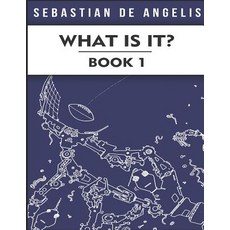 (英文圖書)What Is It Book 1: Drawings 1 to 250 平裝版, What Is It Press, 英文