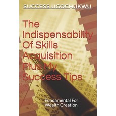 The Indispensability Of Skills Acquisition Plus My Success Tips: Fundamental For Wealth Creation 平裝版, Createspace Independent Publishing Platform, 英文