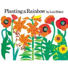 (英文圖書)Planting a Rainbow Board Books, Clarion Books, 英文, 硬頁書