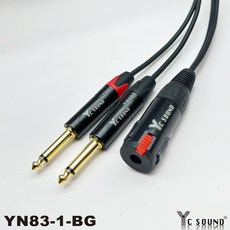 C SOUND 6.3母頭 雙TS轉6.3mm母頭 Y型線 一分二轉接線 音響音頻線 耳機延長線, 6.3母接6.3單音公 =分兩個單音接法,500cm