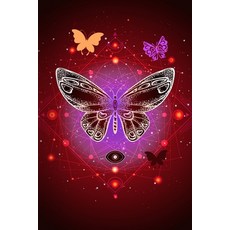 (英文圖書) Pretty Butterfly 平裝版, Mind Flow Publishing & Prod..., 英文