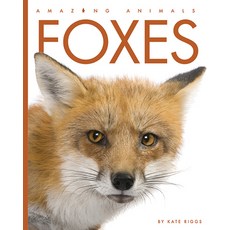 (英文圖書) Foxes 平裝版, Creative Company - (Creativ..., 英文