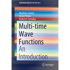 Multi-Time Wave Functions: An Introduction 平裝版, Springer, 英文