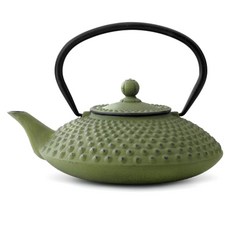 Bredemeijer 鑄鐵茶壺, 綠