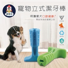 寵星球 寵物直立潔牙棒 潔牙玩具 耐咬磨牙棒, 肉味