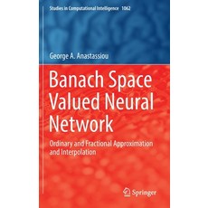 (英文圖書) Banach Space Valued Neural Network: Ordinary and Fractional Approximation and Interpolation 精裝版, Springer, 英文