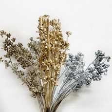 【W&T花藝資材】台灣現貨乾燥花材-獨特造型殭屍果，多色可選，花藝設計裝飾素材, 金色