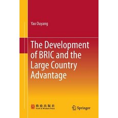 (英文圖書) The Development of Bric and the Large Country Advantage 平裝版, Springer, 英文