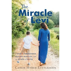 (英文圖書) The Miracle of Levi: A Story of Brokenness Healing Miracles and the Power of... 平裝版, High Bridge Books, 英文