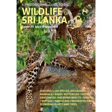 (英文圖書) A Photographic Guide to the Wildlife of Sri Lanka 平裝版, John Beaufoy Publishing, 英文