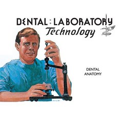 Dental Anatomy 平裝版, University of North Carolina Press, 英文
