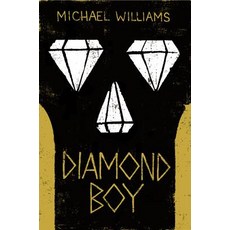 (英文圖書)Diamond Boy 平裝版, Little, Brown Books for You..., 英文