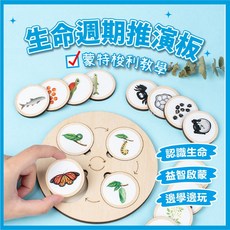 生命週期推演板 蒙特梭利 生命科學 科學玩具 教育玩具 兒童科學 動植物生命演化 。黑白寶貝。, 詳見包裝