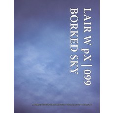 (英文圖書) LAIR W pX 099 Borked Sky 精裝版, Blurb, 英文
