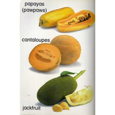 魏蘇珊文教 新加坡大眾水果擦寫書，可擦拭繪本，兒童英語學習啟蒙教材, 詳見包裝