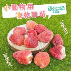 小動物凍乾草莓 鼠兔零食 倉鼠點心 天然水果乾 小寵物健康零食, 10g, 1個