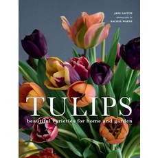 (英文圖書) Tulips: Beautiful Varieties for Home and Garden 精裝版, Gibbs Smith, 英文