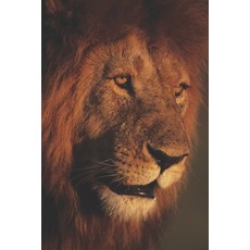 (英文圖書) Spiritual Songs From the Jordan River 平裝版, Independently Published, 英文