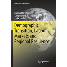 Demographic Transition Labour Markets and Regional Resilience 平裝版, Springer, 英文