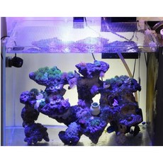 魚缸防跳網 水族格網 隱形防跳網, 詳見包裝, 100cm*100cm 防跳網