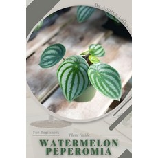 (英文圖書) Watermelon Peperomia: Plant Guide 平裝版, Independently Published, 英文