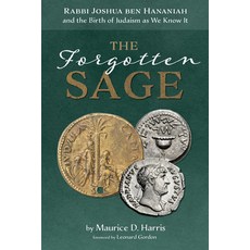 (英文圖書) The Forgotten Sage: Rabbi Joshua Ben Hananiah and the Birth of Judaism as We Know It 精裝版, Cascade Books, 英文