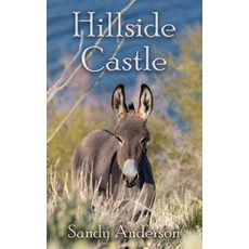 (英文圖書)Hillside Castle 平裝版, Leonine Publishers, 英文