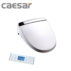 CAESAR凱薩 自動掀蓋免治馬桶座TAF210 (溫水沖洗、暖風烘乾、無線遙控), TAF210, 單純送貨商品