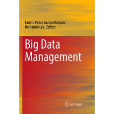 (英文圖書) Big Data Management 平裝版, Springer, 英文