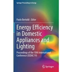 (英文圖書) Energy Efficiency in Domestic Appliances and Lighting: Proceedings of the 10th International ... 精裝版, Springer, 英文