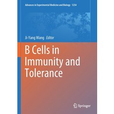B Cells in Immunity and Tolerance 平裝版, Springer, 英文
