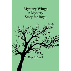 (英文圖書)Mystery Wings; A Mystery Story for Boys 平裝版, Alpha Edition, 英文