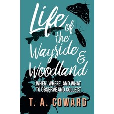 (英文圖書)Life of the Wayside and Woodland: When Where and What to Observe and Collect 平裝版, Thousand Fields, 英文