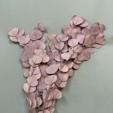 W&T花藝資材 台灣現貨 永生圓葉尤加利葉 蘋果葉 乾燥花 永生花 花材, 芋紫