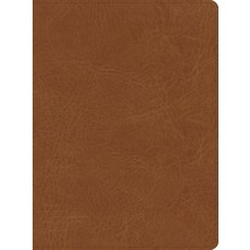 (英文圖書) CSB He Reads Truth Bible Saddle Leathertouch Indexed Imitation Leather, Holman Bibles, 英文, 人造皮革