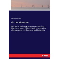 (英文圖書) On the Mountain: Being the Welsh experiences of Abraham Black and Jonas White ... 平裝版, Hansebooks, 英文